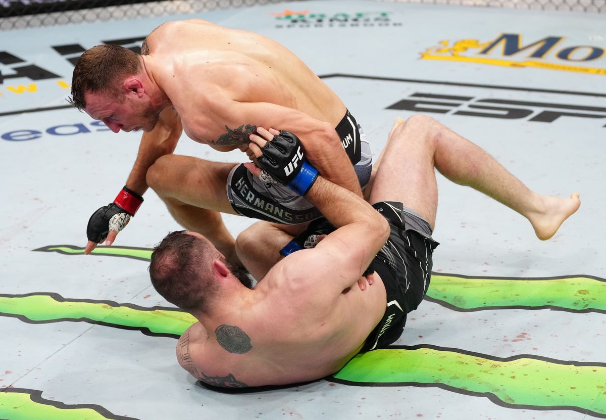 UFC Fight Night : Hermansson contre Dolidze