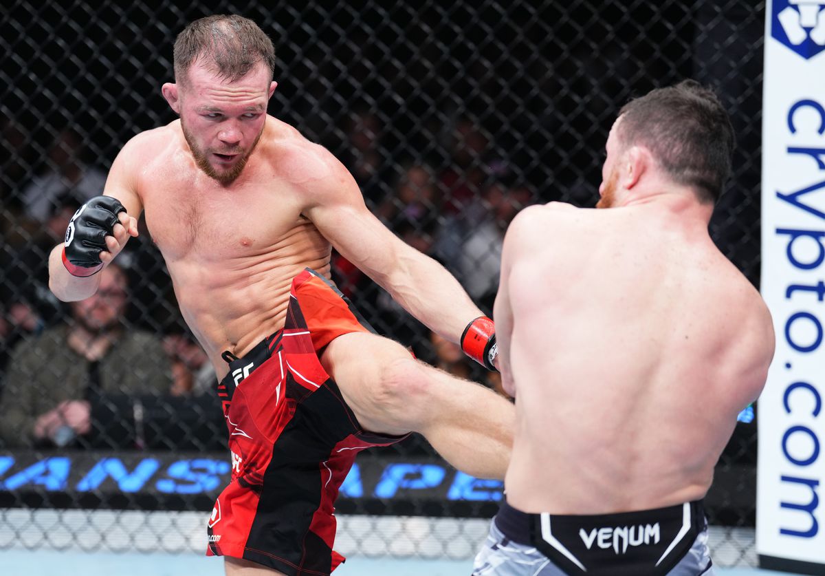 UFC Fight Night : Yan contre Dvalishvili