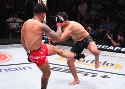 UFC Fight Night : Martinez contre Yanez