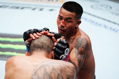UFC 295: Van v Borjas