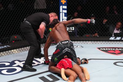 UFC Fight Night : Turner contre Green