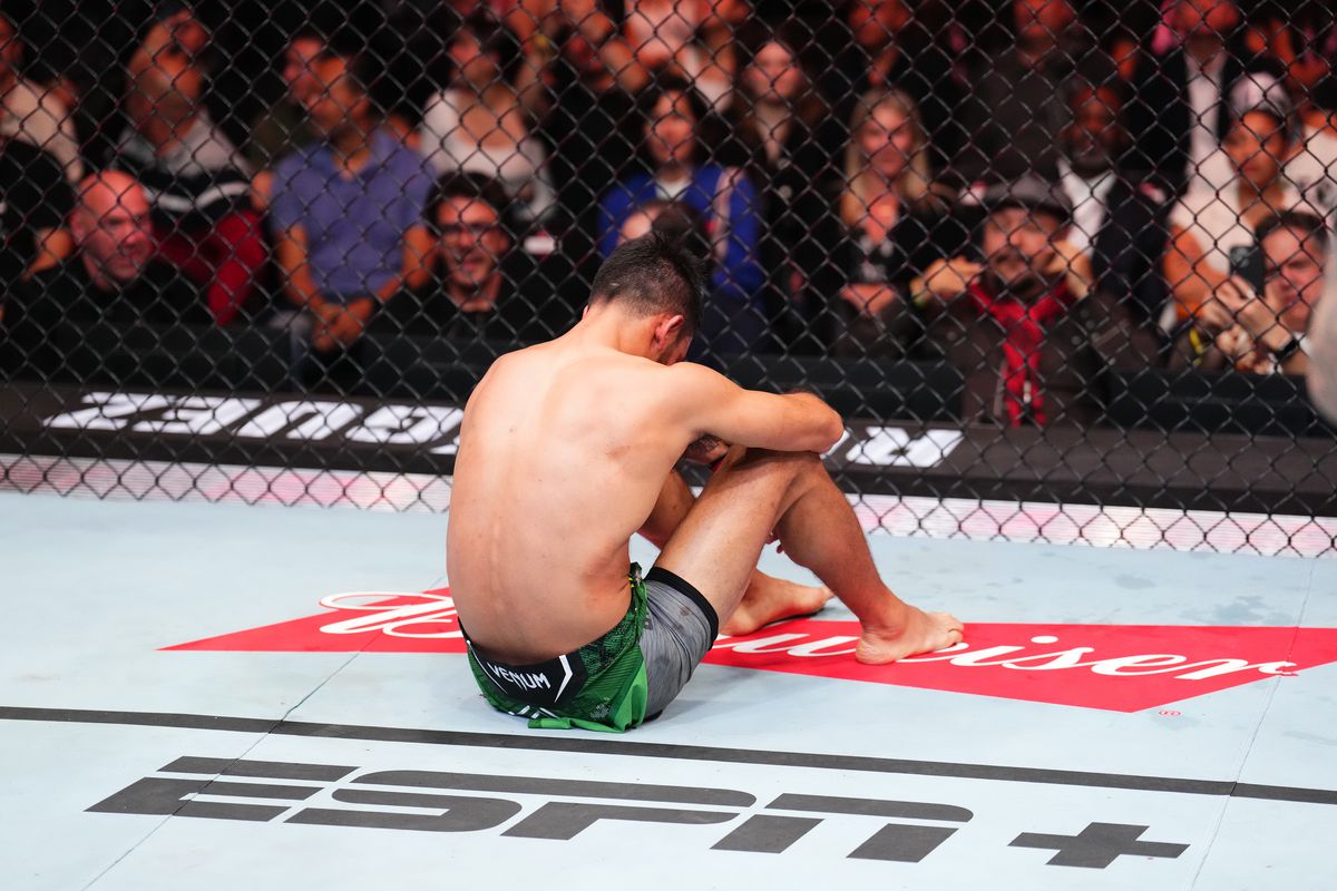 UFC Fight Night : Rodriguez contre Ortega