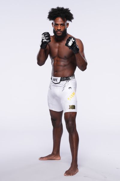 Portraits de combattants de l'UFC