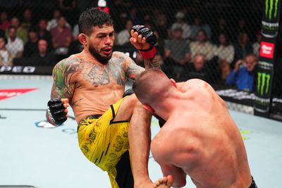 UFC Fight Night : Ferreira contre Rebecki