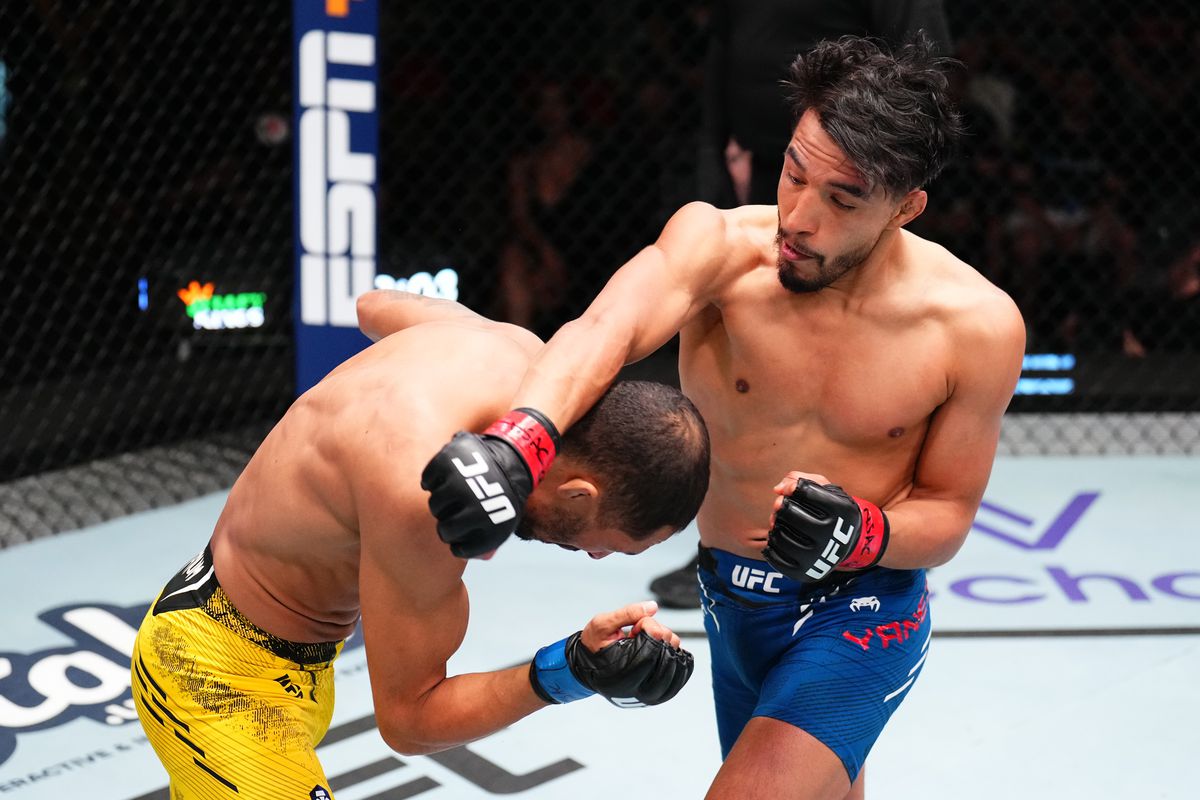 UFC Fight Night : Yanez contre Salvador