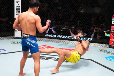 UFC Fight Night: Yanez v Salvador