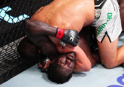 UFC Fight Night: Cannonier v Borralho