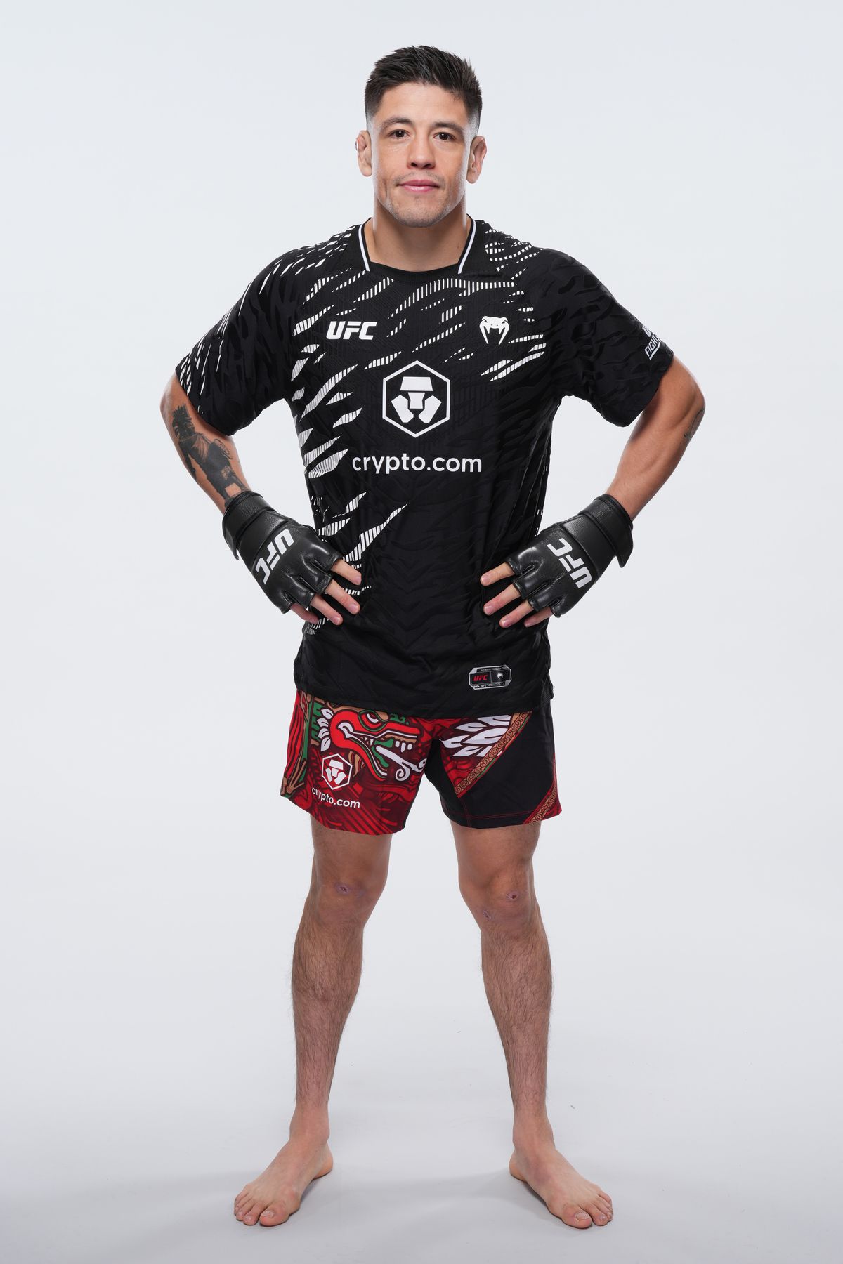 Portraits de combattants de l'UFC