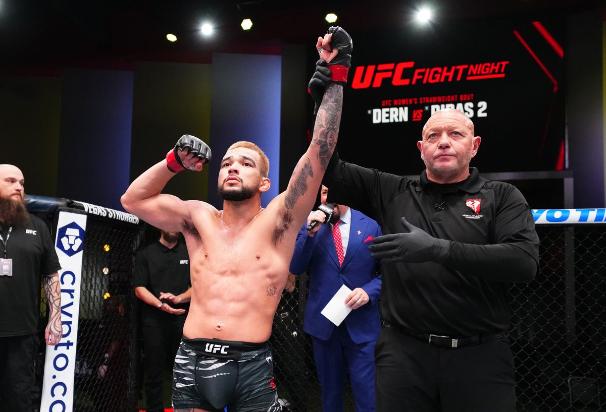 UFC Fight Night : Rodriguez contre Bashi