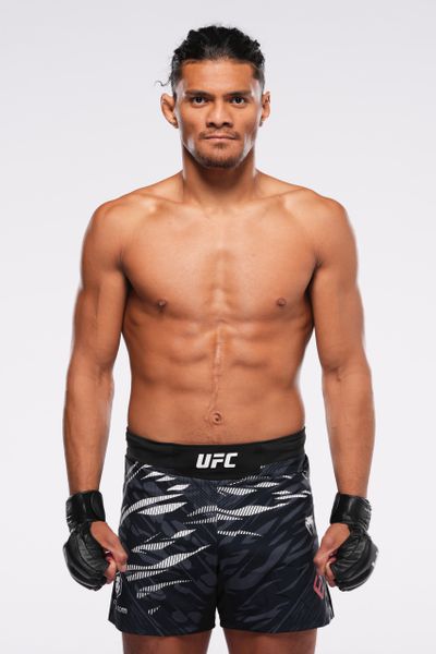 Portraits de combattants de l'UFC