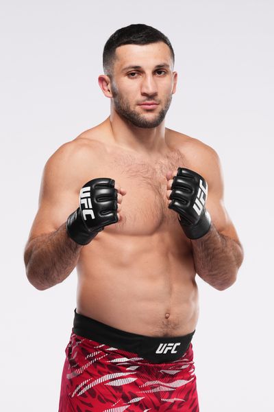 Portraits de combattants de l'UFC