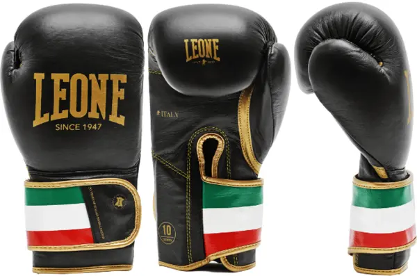 Gants de Boxe Leone